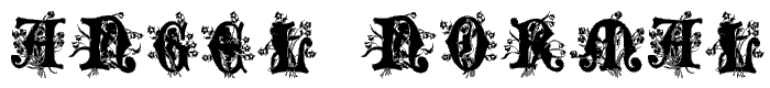 Angel Normal font